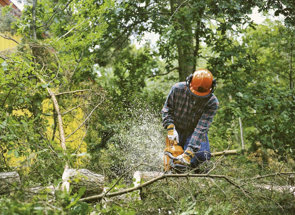 Расчистка территорий 