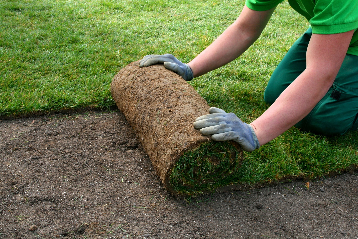 Укладка газона под ключ